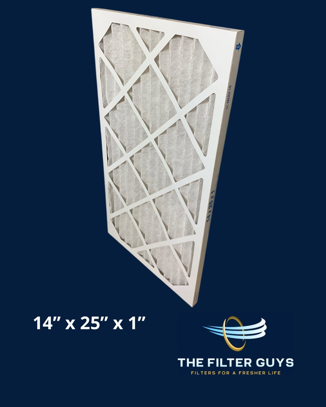 14" x 25" x 1" Filter