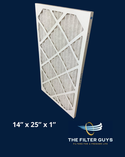 14" x 25" x 1" Filter