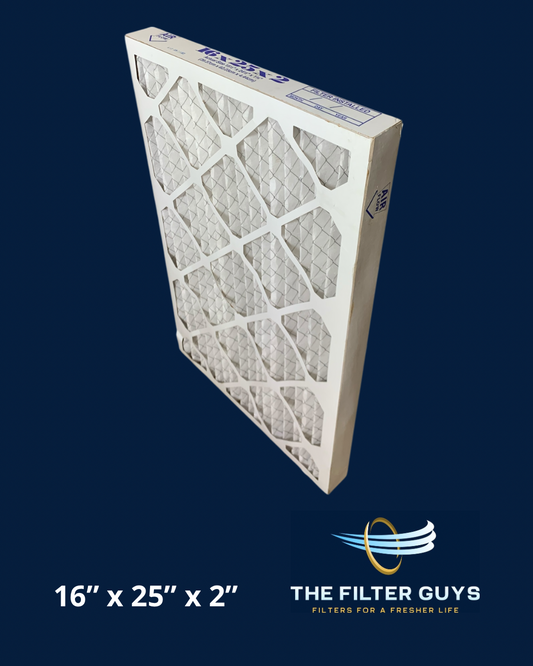 16" x 25" x 2" Filter