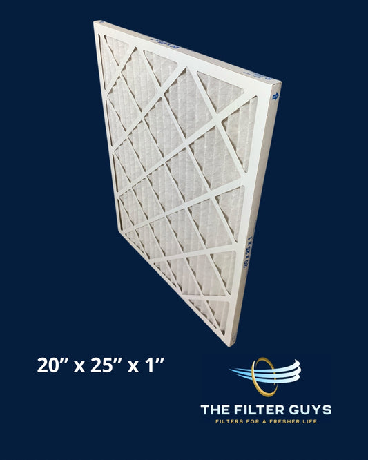 20" x 25" x 1" Filter